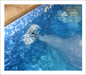 hydrotherapy pool image 2