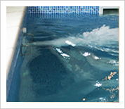hydrotherapy pools image 3